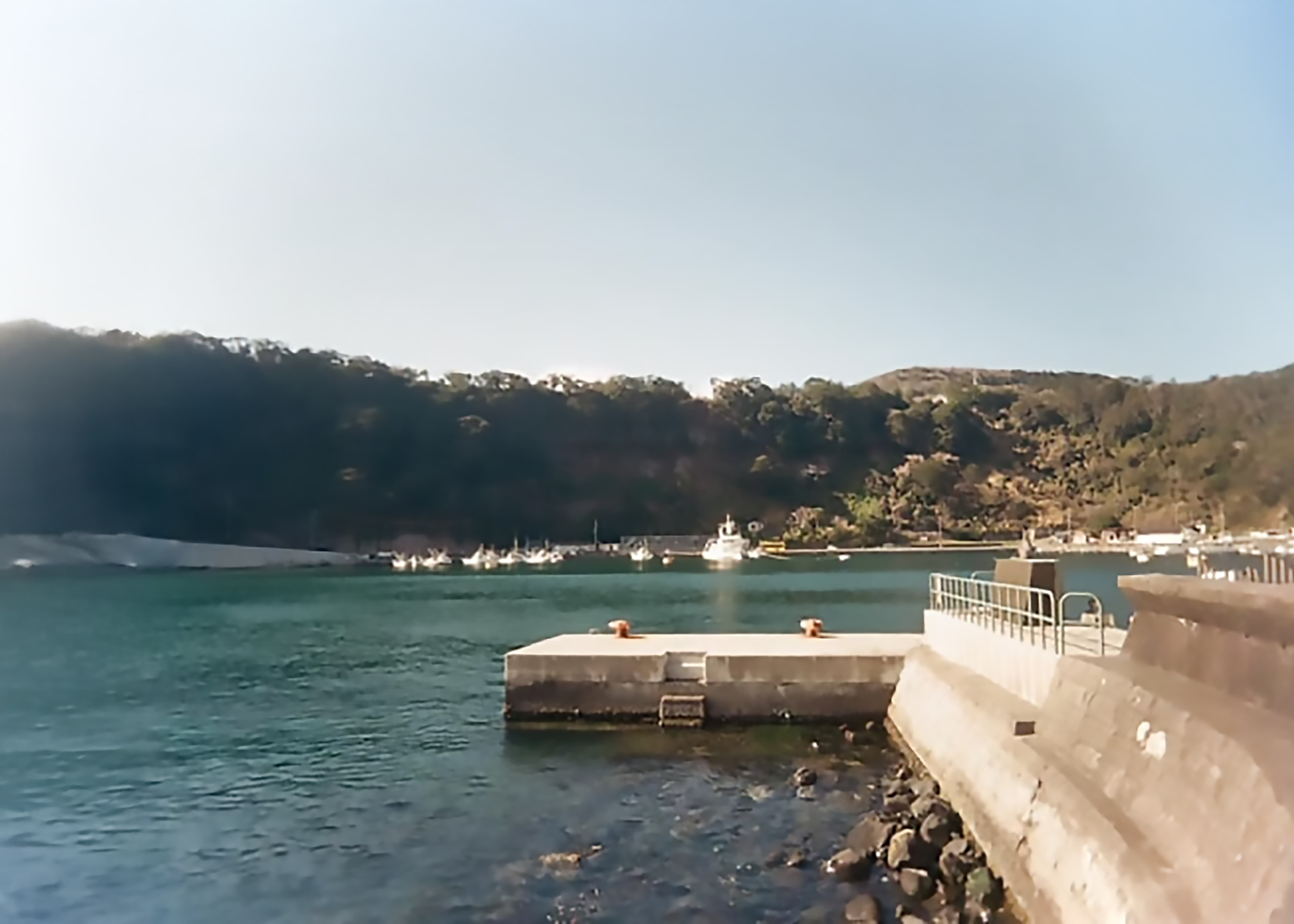 波浮堤防の画像です